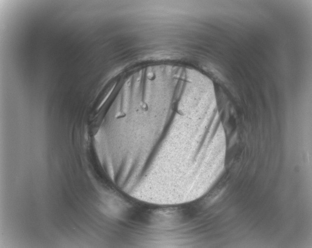 X0000065980164200603311914