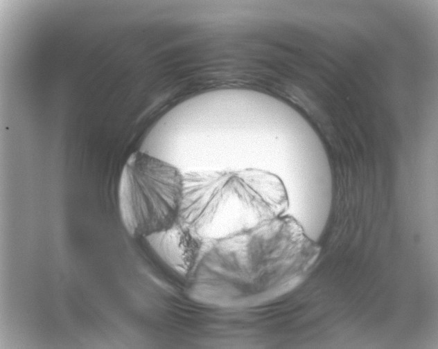 X0000065980165200603311914