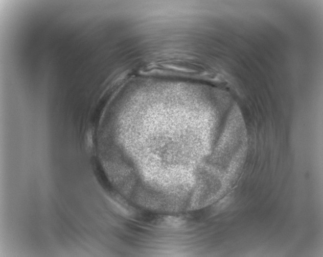 X0000065980166200603311914