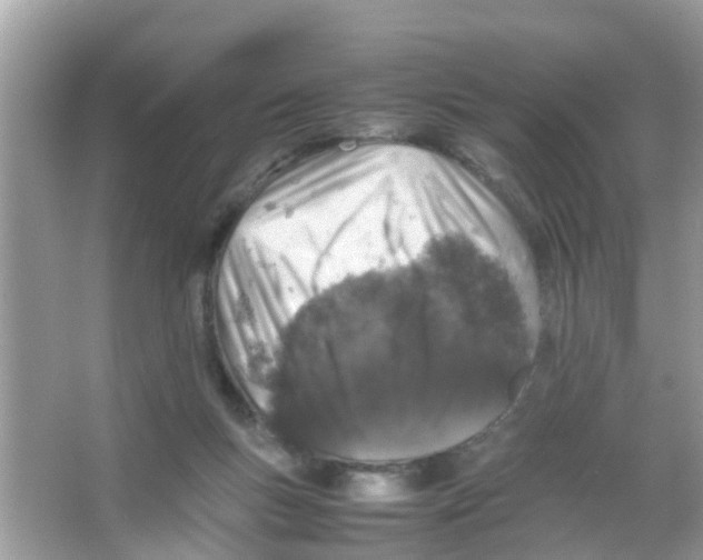 X0000065980167200603311914