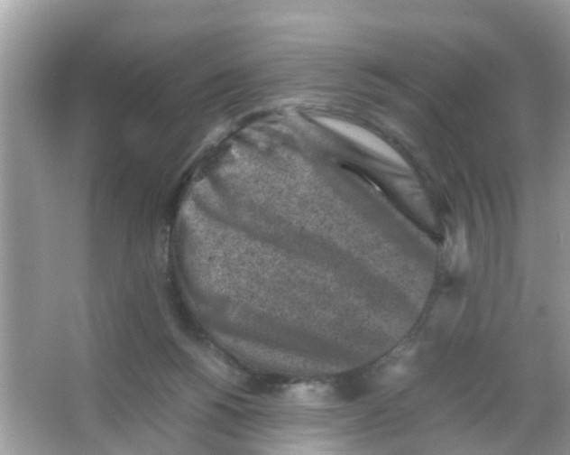 X0000065980168200603311914