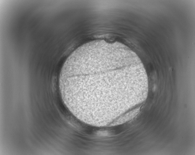 X0000065980171200603311914