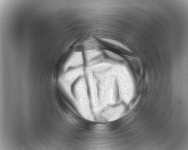 X0000065980176200603311914