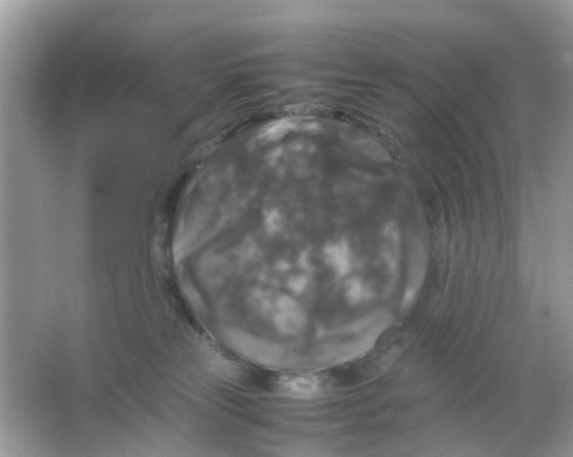 X0000065980181200603311914