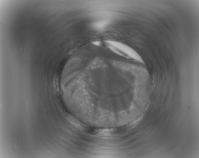 X0000065980182200603311914