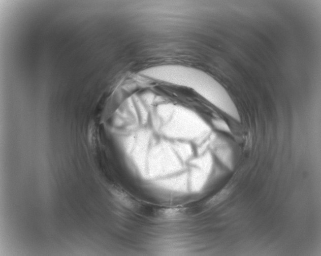 X0000065980184200603311914