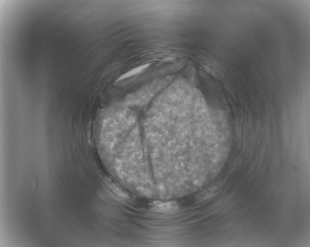 X0000065980185200603311914