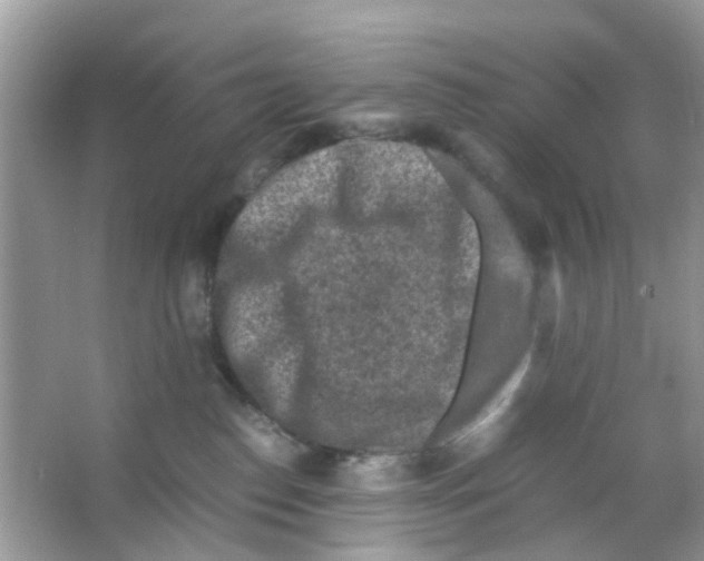 X0000065980186200603311914