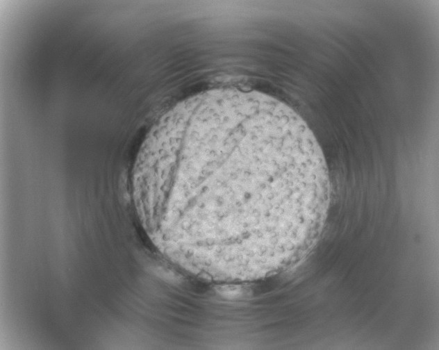 X0000065980187200603311914