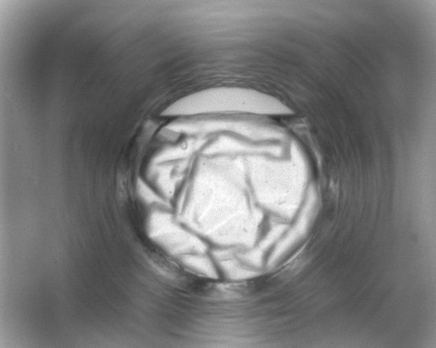 X0000065980188200603311914