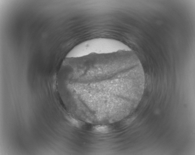 X0000065980189200603311914