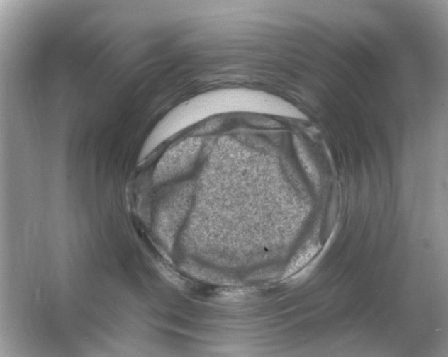 X0000065980190200603311914