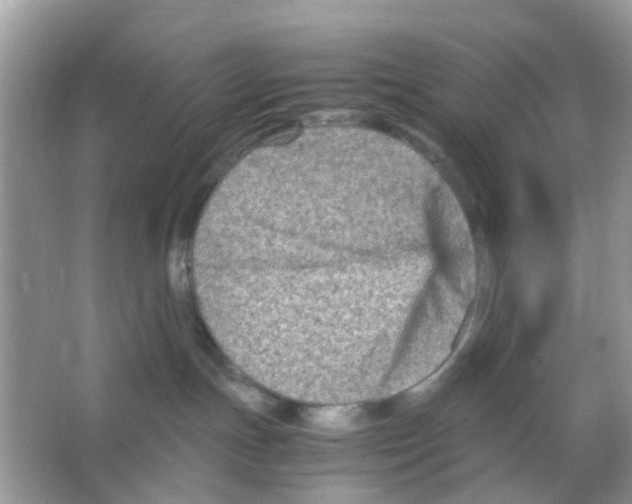 X0000065980191200603311914