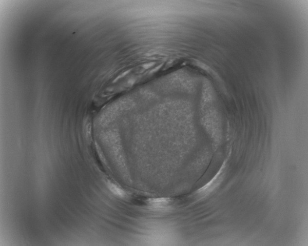 X0000065980192200603311914