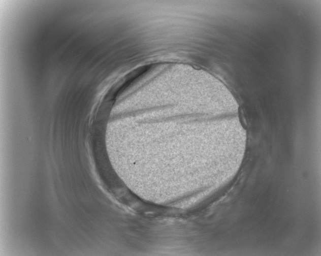 X0000065980193200603311914