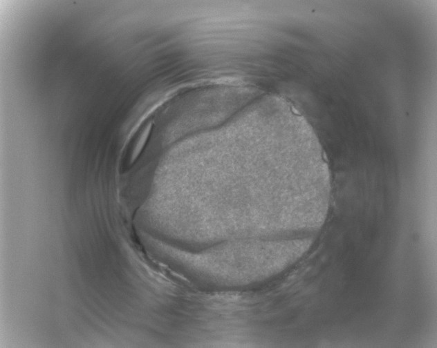 X0000065980194200603311914