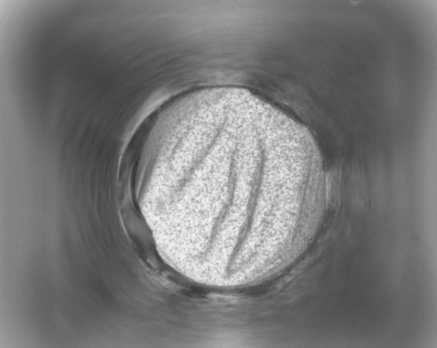 X0000065980195200603311914