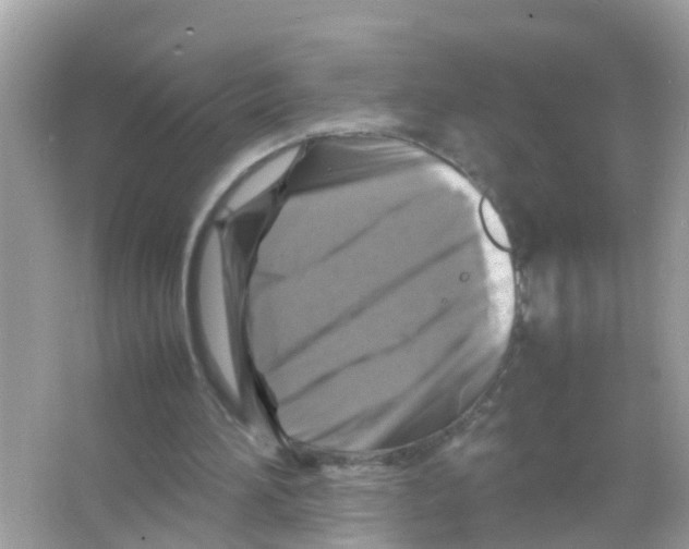 X0000065980196200603311914