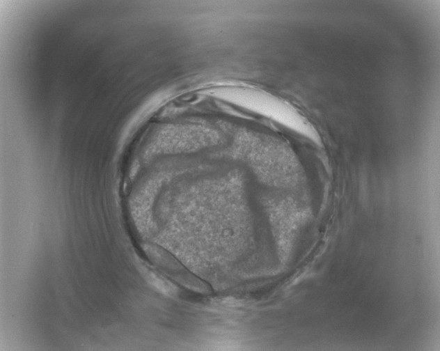 X0000065980197200603311914