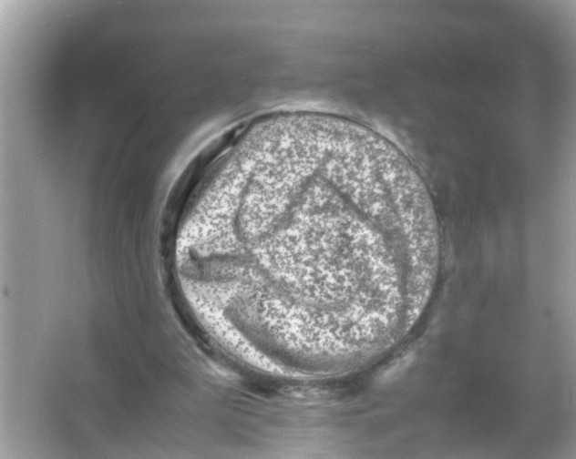 X0000065980199200603311913