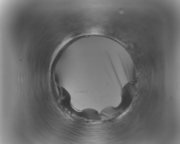 X0000065980200200603311913