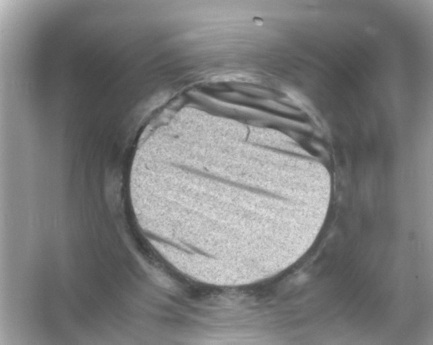 X0000065980201200603311913