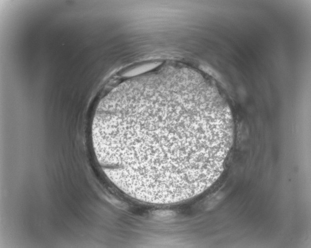 X0000065980203200603311913