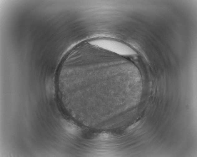 X0000065980204200603311913