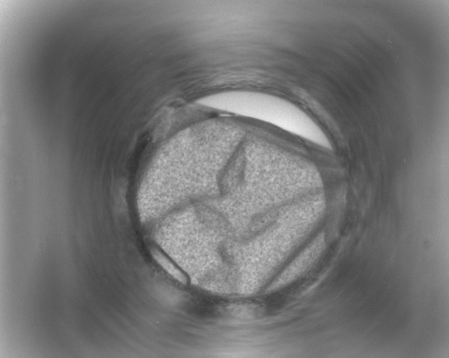 X0000065980209200603311913