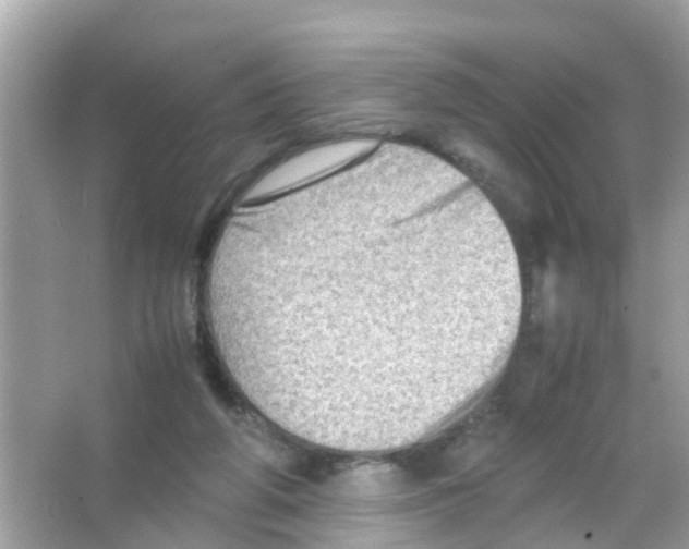 X0000065980210200603311913