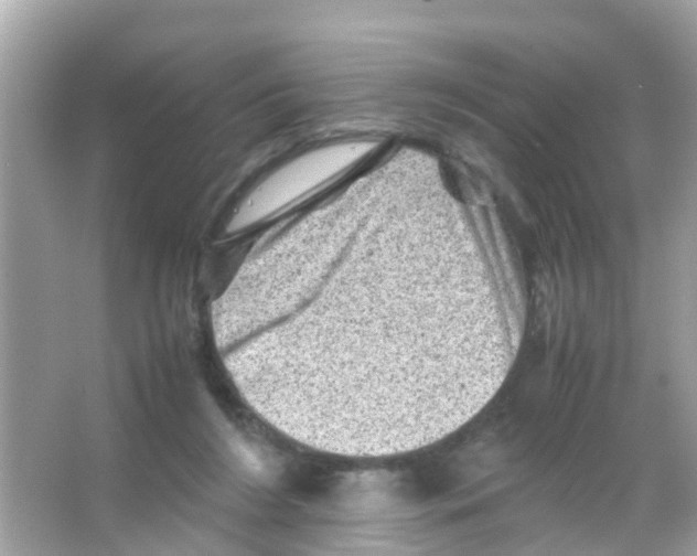 X0000065980212200603311913