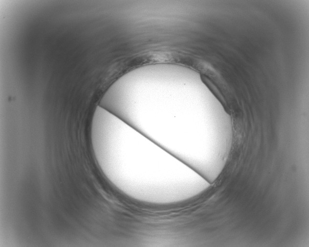 X0000065980213200603311913