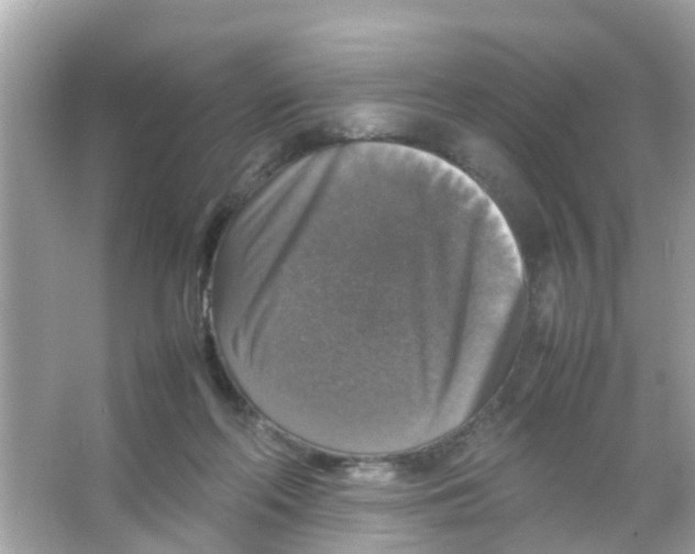 X0000065980214200603311913