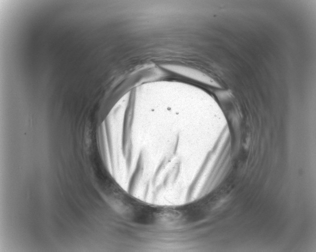 X0000065980215200603311913