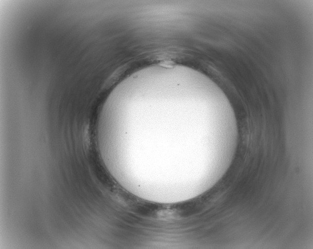 X0000065980216200603311913