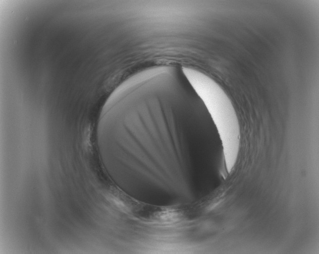 X0000065980219200603311913