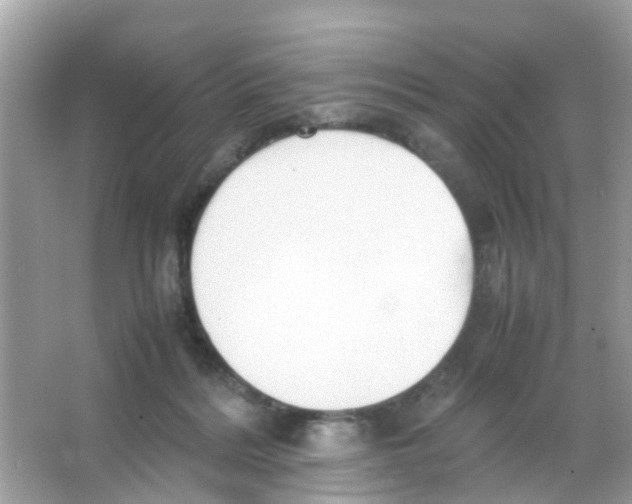 X0000065980220200603311913