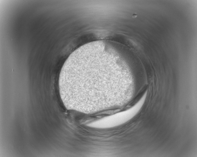 X0000065980221200603311913