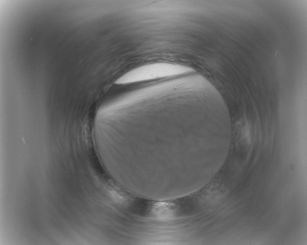 X0000065980222200603311913