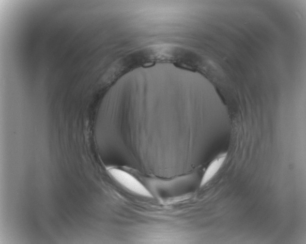 X0000065980223200603311913