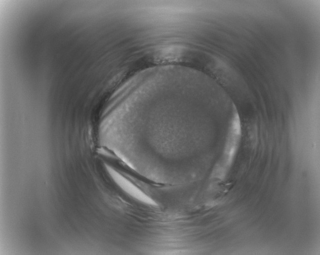 X0000065980224200603311913