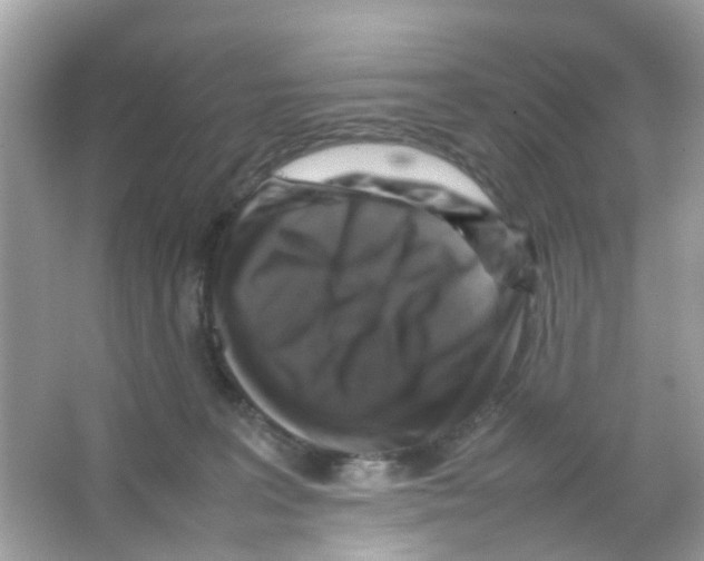 X0000065980227200603311913