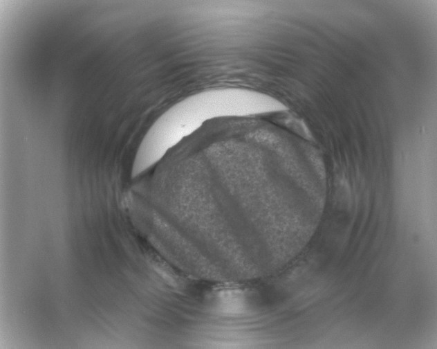 X0000065980228200603311913