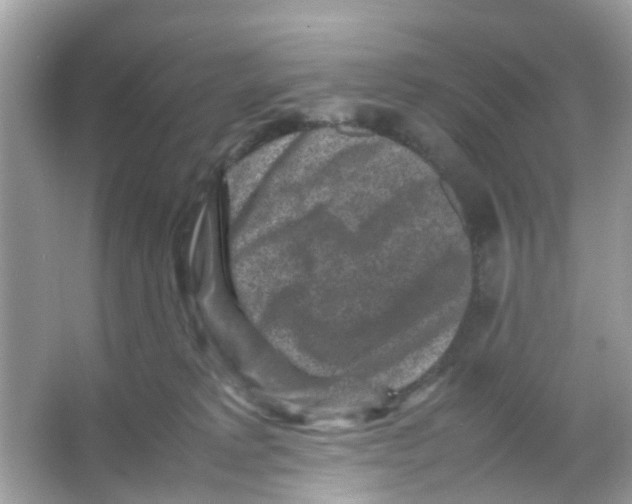 X0000065980229200603311913