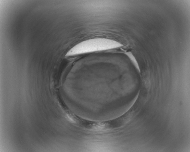 X0000065980235200603311913