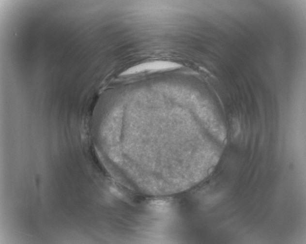 X0000065980236200603311913