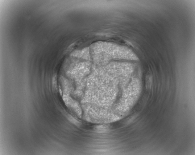 X0000065980238200603311913