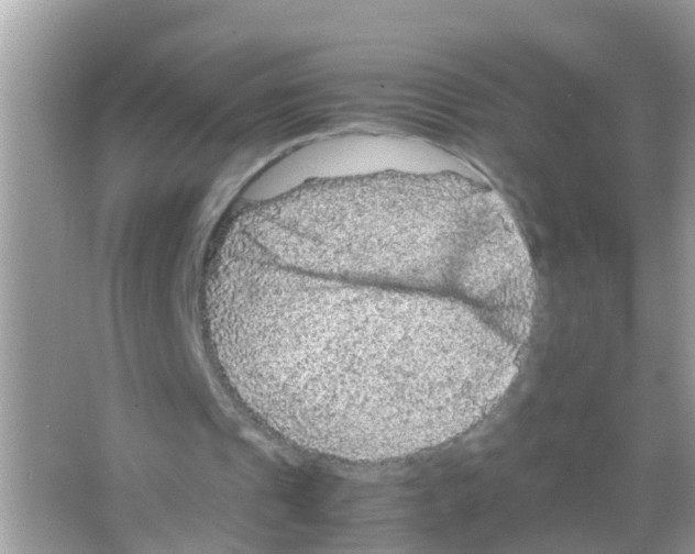 X0000065980241200603311912