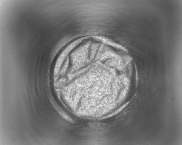 X0000065980242200603311912