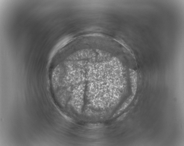 X0000065980245200603311912